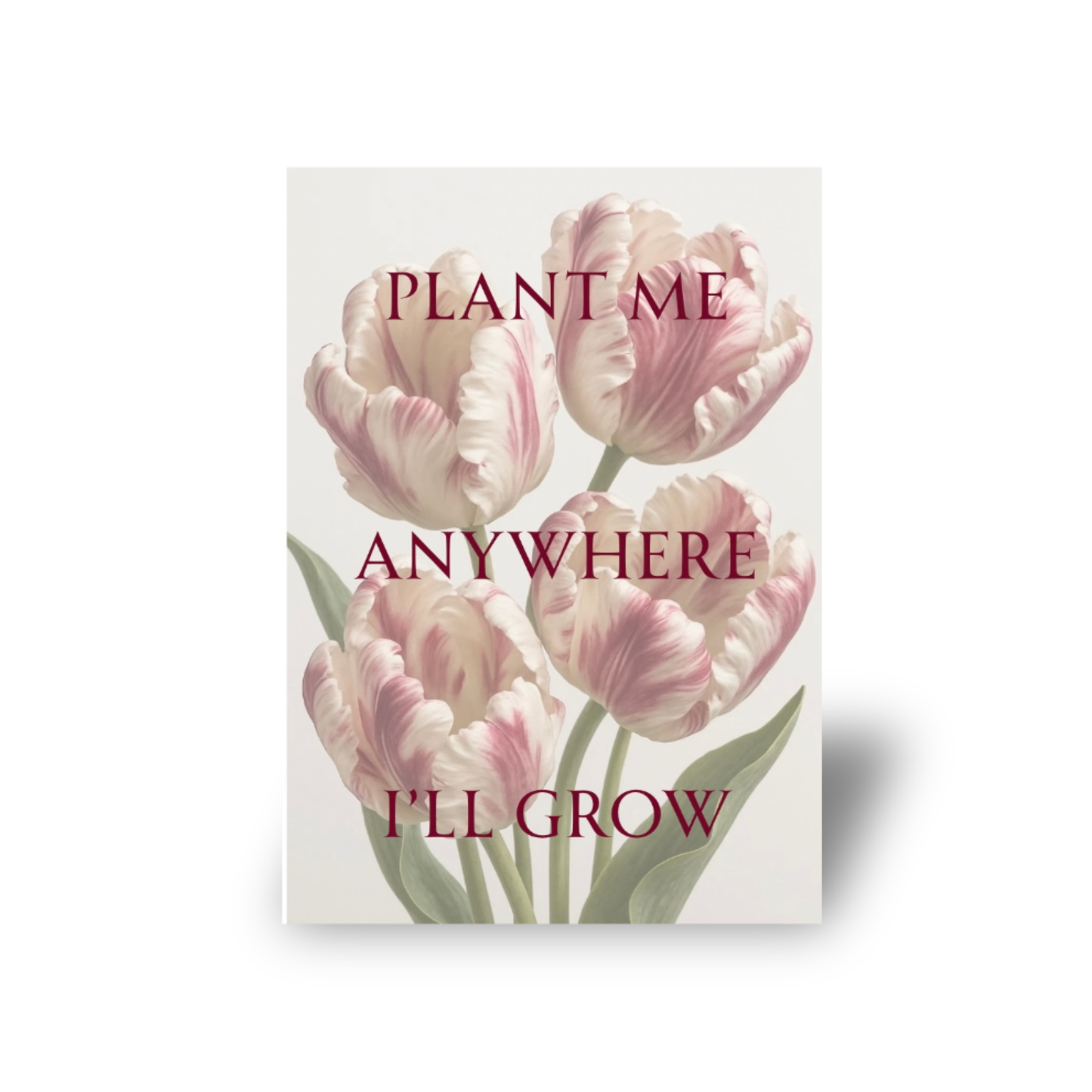 Plant me anywhere i’ll grow