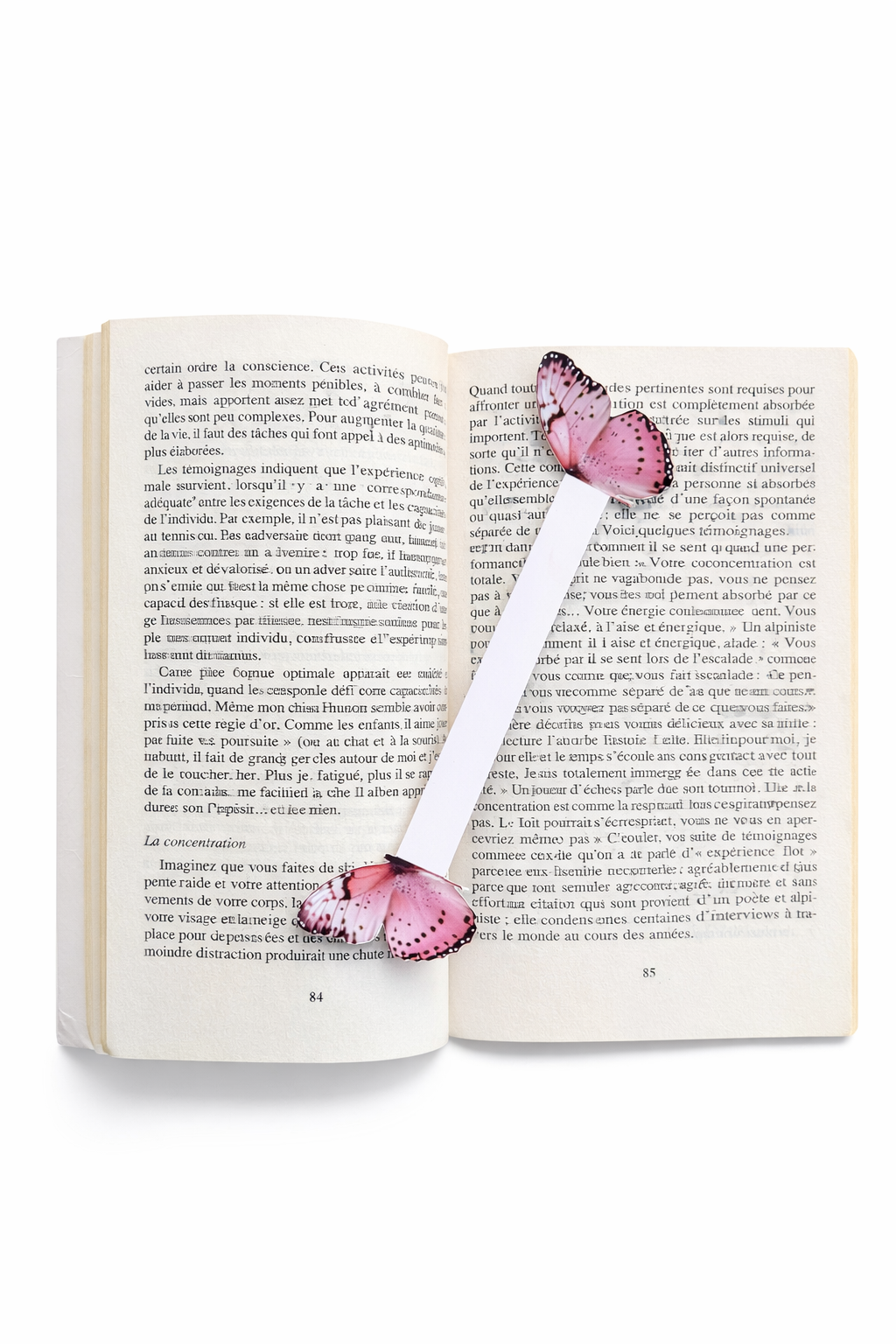 Papillon