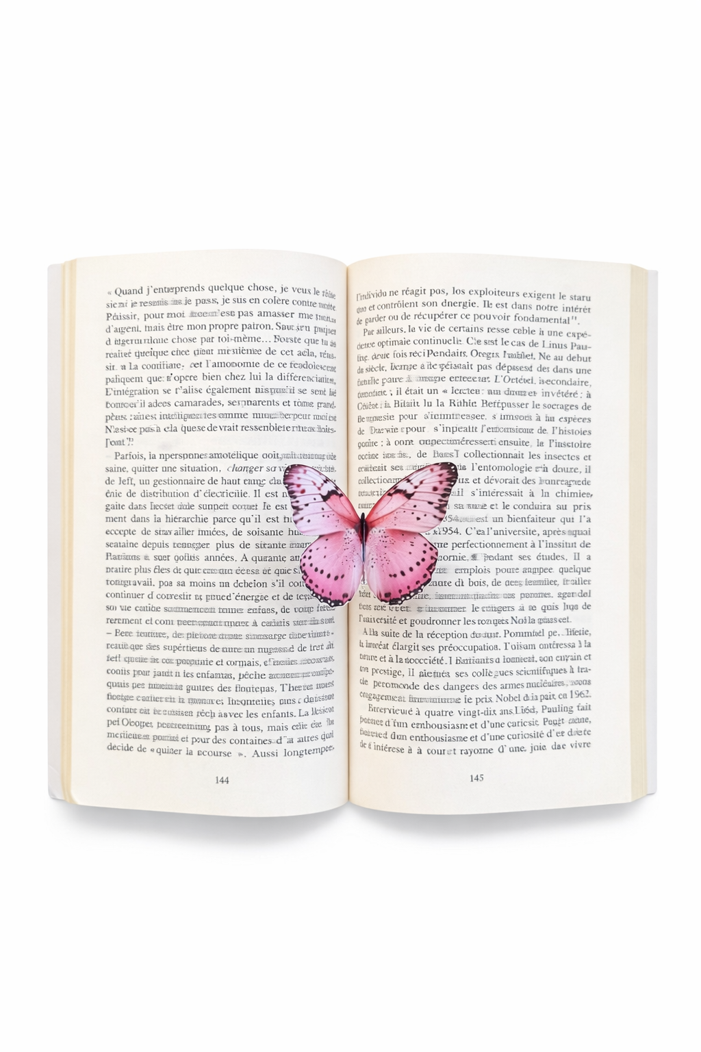 Papillon