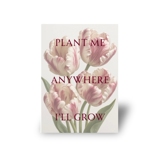 Plant me anywhere i’ll grow